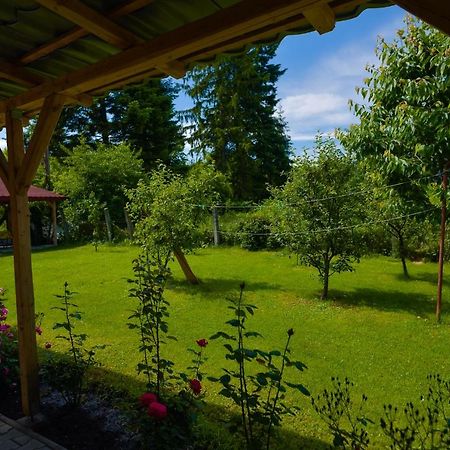 Pension Verona Centru Cluj-Napoca Eksteriør bilde